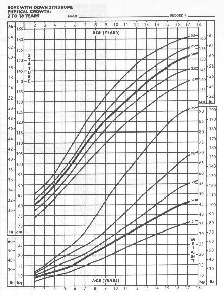 fig4.jpg (77487 bytes)