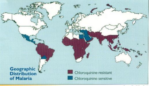 malaria.jpg (34637 bytes)